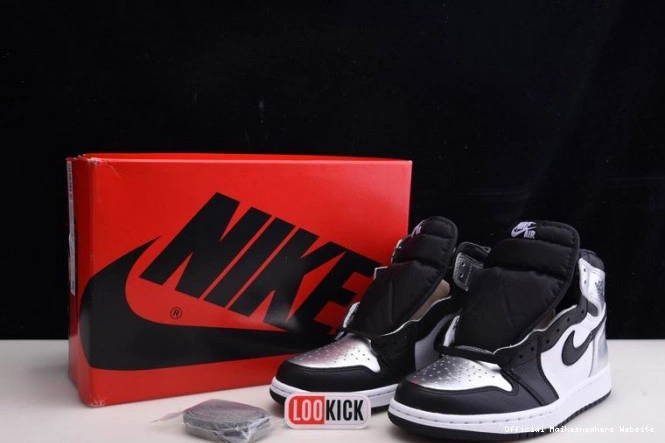 Official Maikesneakers JORDAN WMNS 1 SILVER HIGH CD0461-001 OG TOE AIR 0717